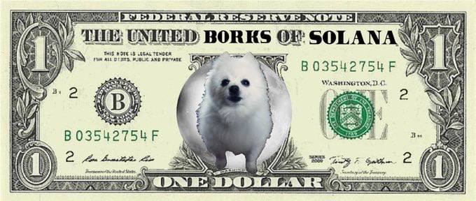crypto_drift12's tweet photo. @SensibleYapper @BorkSOL Gogogogo #BORKING heavily https://t.co/RlcFHPqzxi