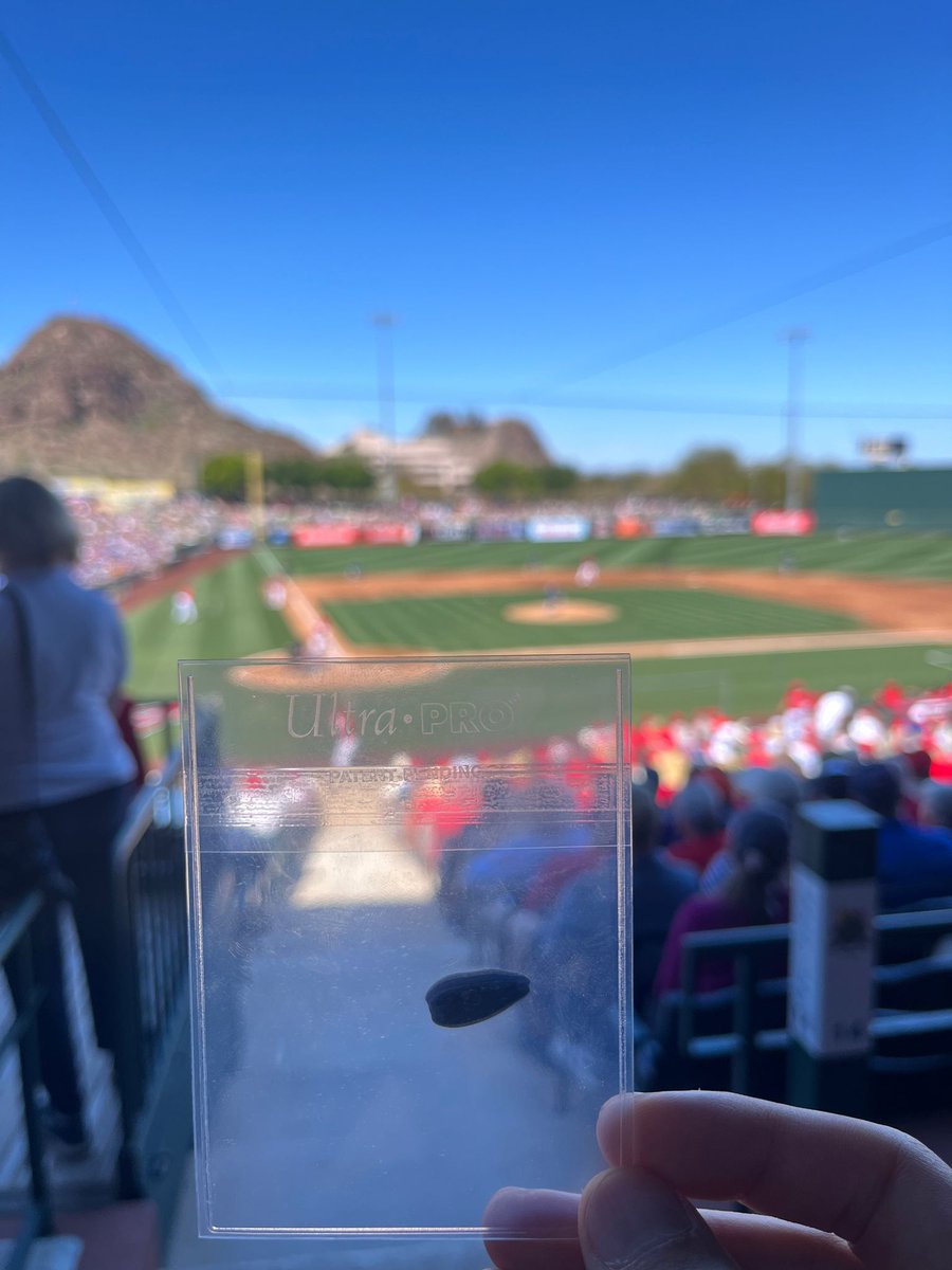 UltraPROSupply's tweet photo. Legend has it, it’s @mjtrout's sunflower seed
#springtraining #cardpreserver https://t.co/IlH1F9LPz7