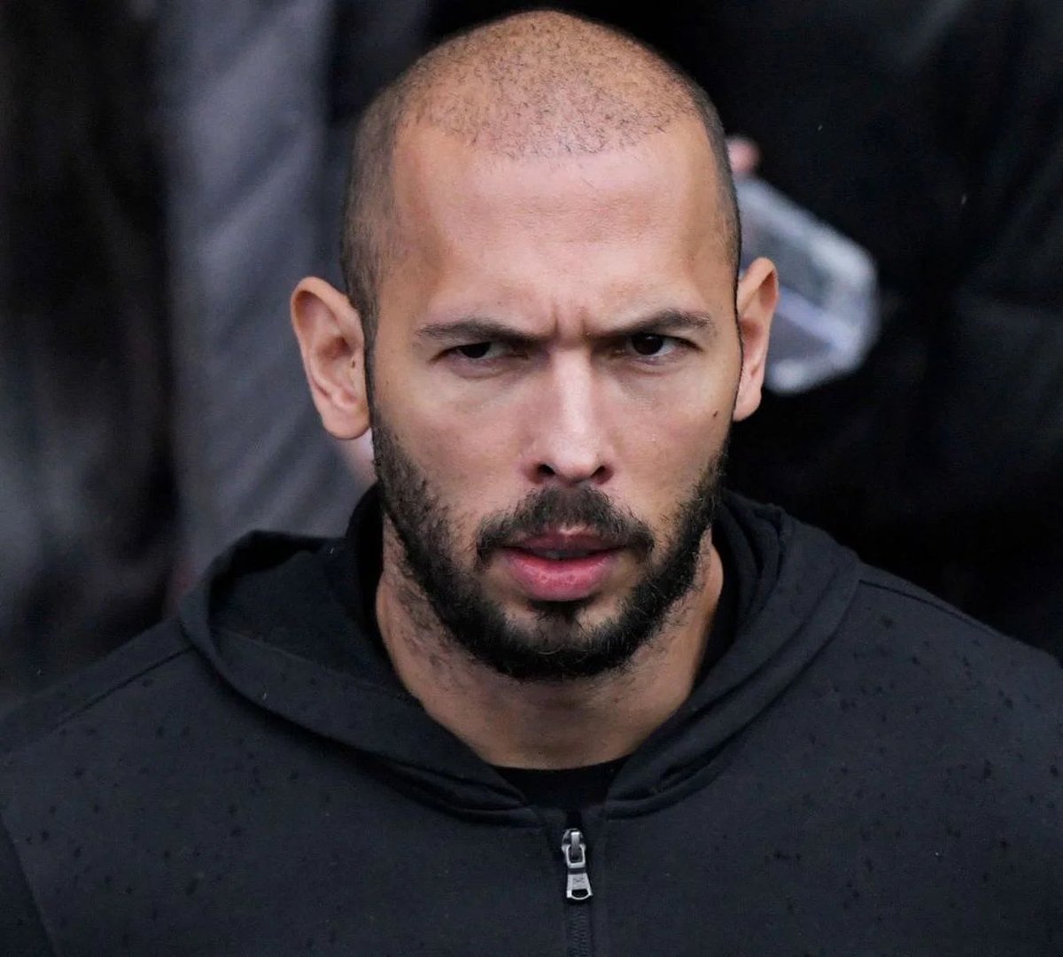 did i lie? tweet media