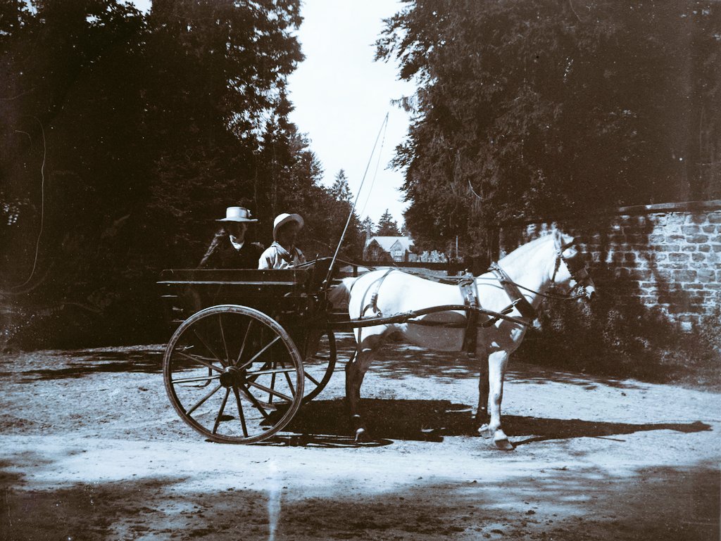 AdeysAlthorp's tweet photo. Early 1900's.
Two local children in their delightful pony & trap. They are posing for this photograph at the entrance to the "Pheasantry" on the Althorp estate Β©οΈ.
Here's that very same entrance approximately 120 years later.
Conservation@althorp.com #Harlestone #Spencerestates https://t.co/PP0vvR8Ufc
