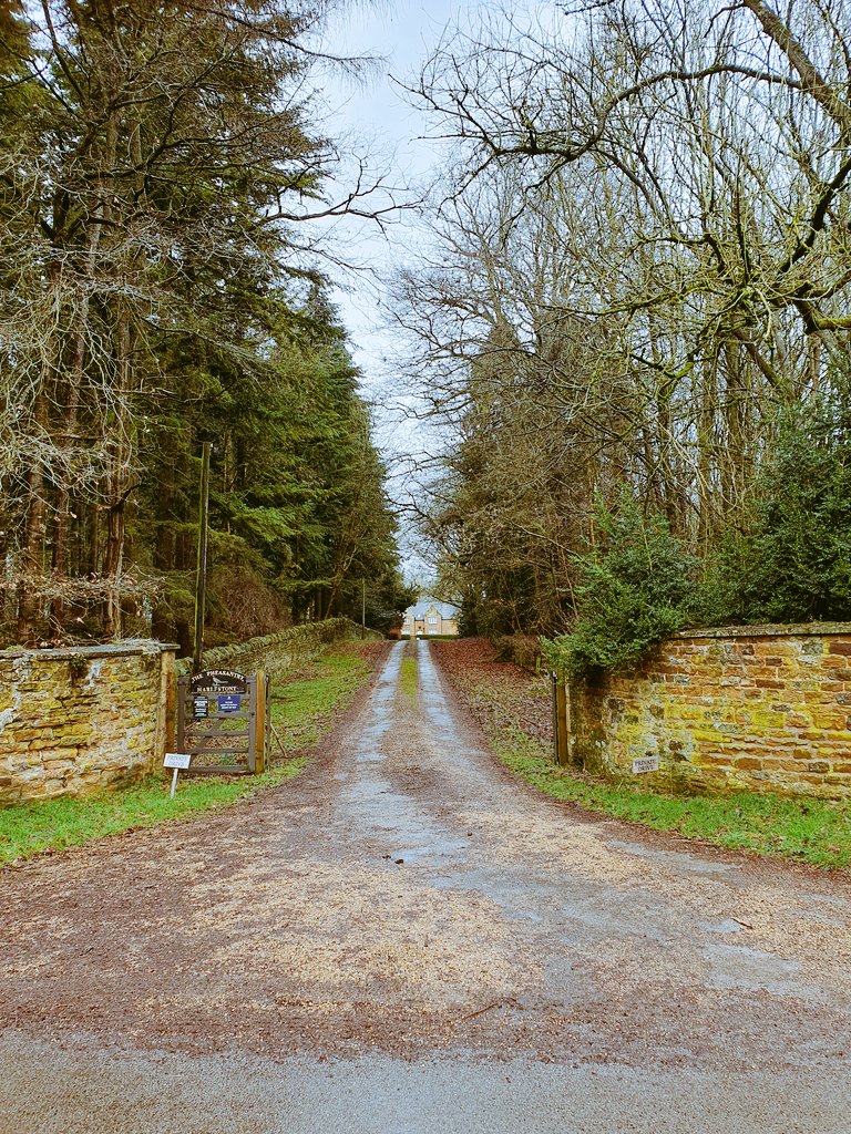 AdeysAlthorp's tweet photo. Early 1900's.
Two local children in their delightful pony & trap. They are posing for this photograph at the entrance to the "Pheasantry" on the Althorp estate Β©οΈ.
Here's that very same entrance approximately 120 years later.
Conservation@althorp.com #Harlestone #Spencerestates https://t.co/PP0vvR8Ufc