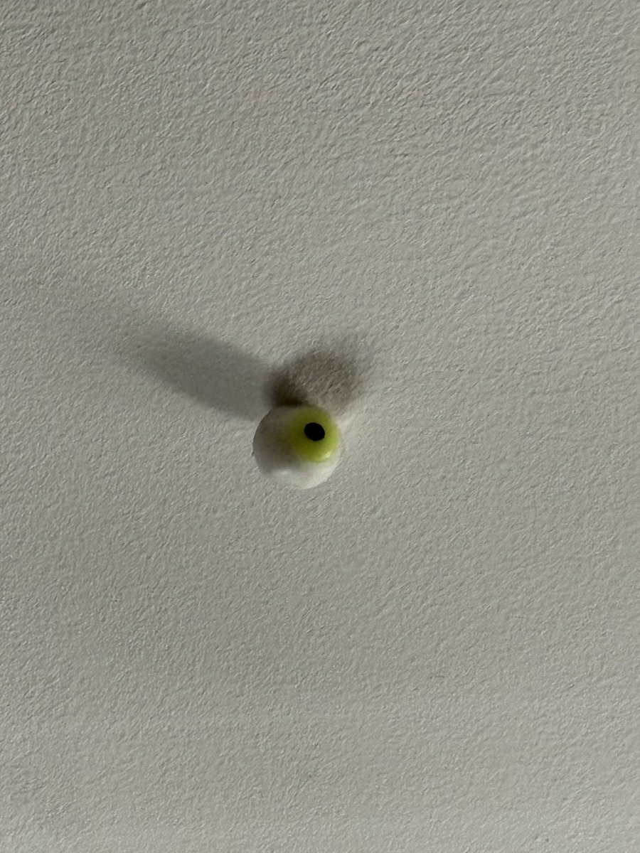 jonklemke's tweet photo. BREAKING #108Tourney NEWS: Friends a second recording device has been found in our offices. Cleverly hidden on the ceiling, this micro camera has been monitoring my campaign’s activities as well. I have passed this info to the authorities @fromthe108. Please #VoteJon https://t.co/onFW0ln6Pi