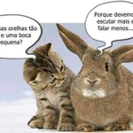 Photo by CIPTA (@CIPTAAAA_)