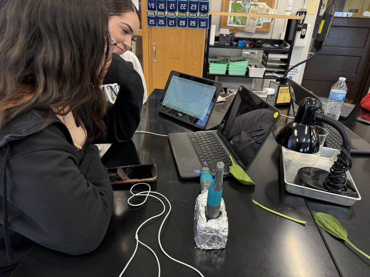 MrArsenie's tweet image. After qualitatively looking at photosynthesis and respiration, my @CarlSchurzHS #ibbio students used @Verprobes to measure oxygen and carbon dioxide gas production in spinach. Tomorrow, aquatic DO!
