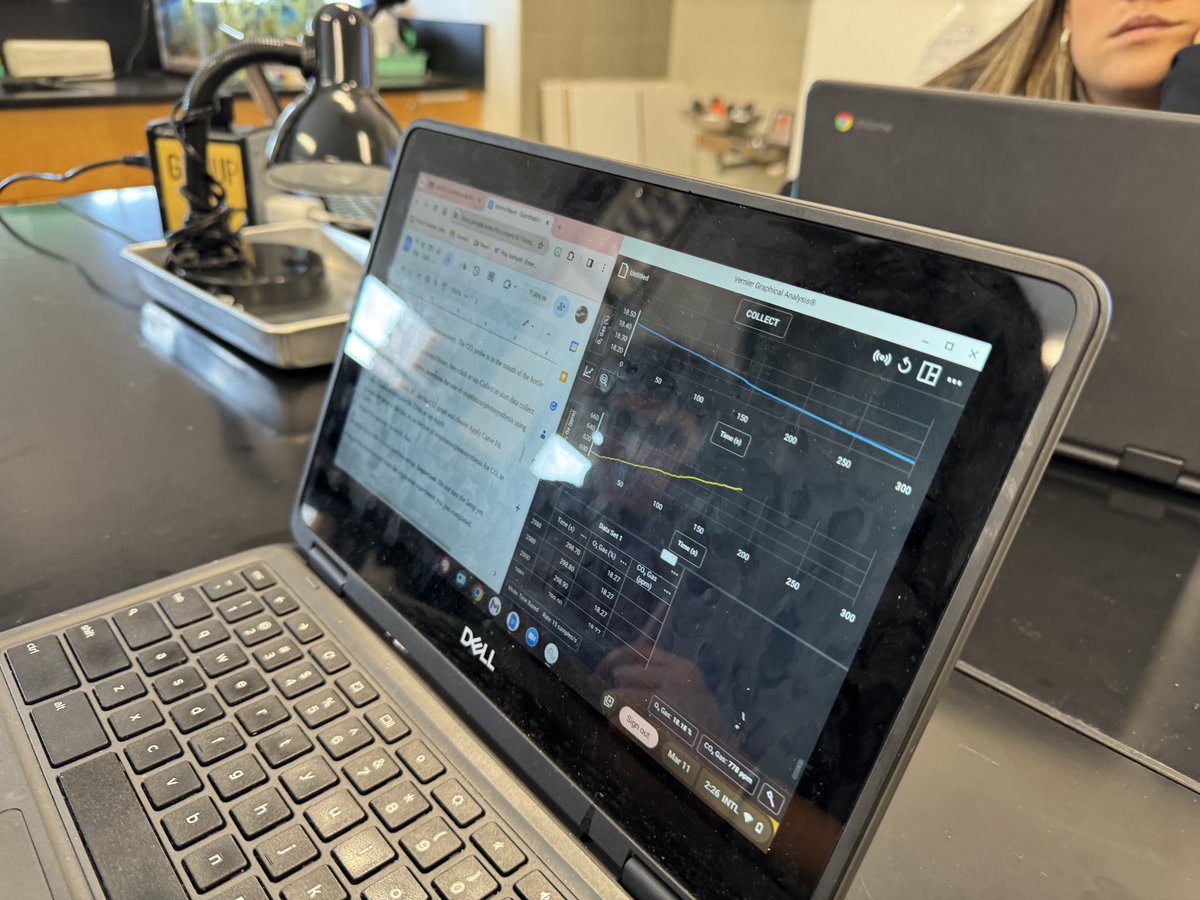 MrArsenie's tweet image. After qualitatively looking at photosynthesis and respiration, my @CarlSchurzHS #ibbio students used @Verprobes to measure oxygen and carbon dioxide gas production in spinach. Tomorrow, aquatic DO!