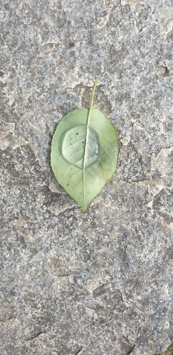 uMaMoyo123's tweet image. #Randomthings