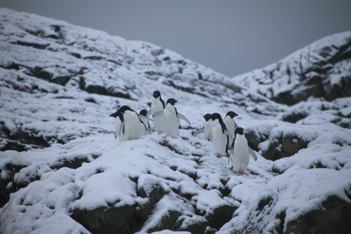 Ali Smets tweet media