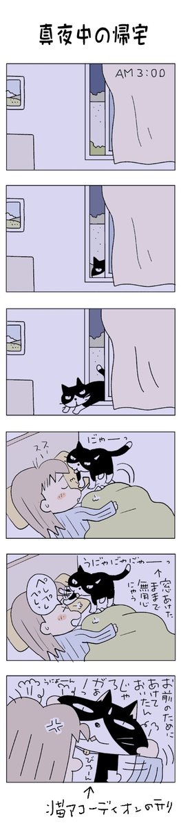 真夜中の帰宅♪
#こんなん描いてます #自作まんが #漫画 
#猫まんが #4コママンガ #NEKO3 