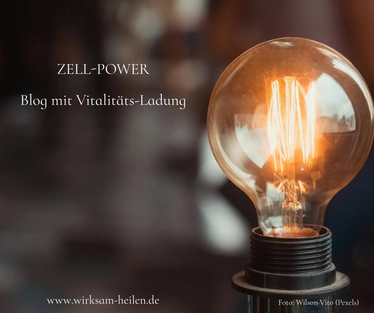 Lackermeier tweet picture