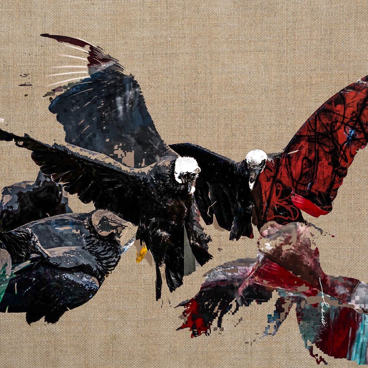 IAMMAGO's tweet photo. Album cover concepts inspired by #vultures @kanyewest #kanye #ye https://t.co/Kt4RJYeq3U
