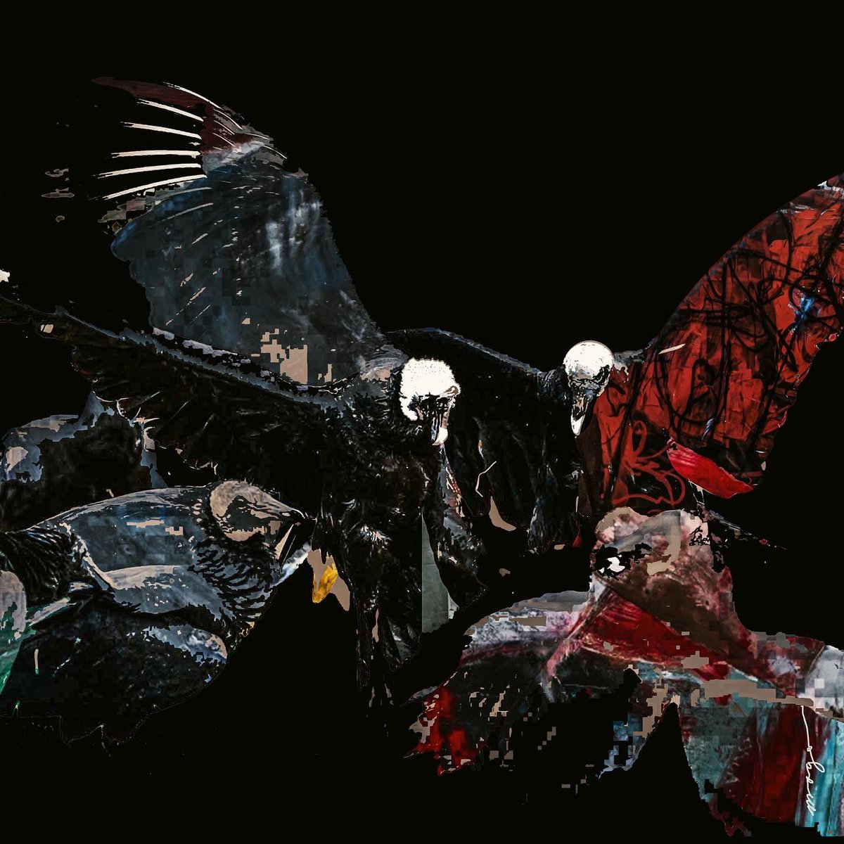 IAMMAGO's tweet photo. Album cover concepts inspired by #vultures @kanyewest #kanye #ye https://t.co/Kt4RJYeq3U