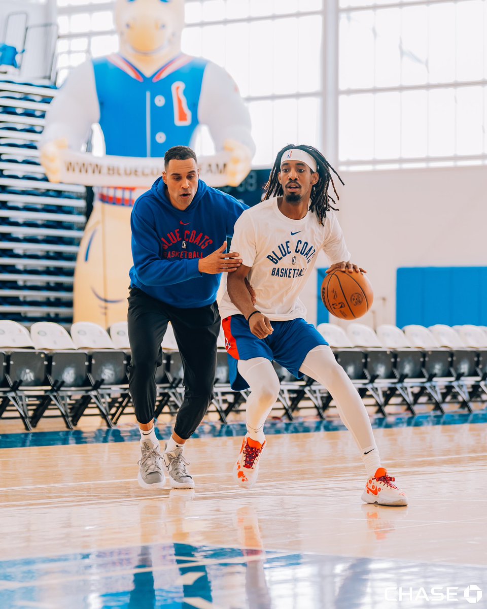 Delaware Blue Coats tweet media