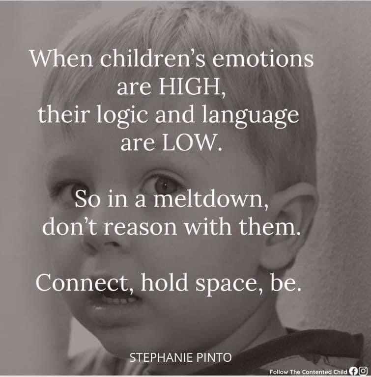 Tracy Walsh tweet media