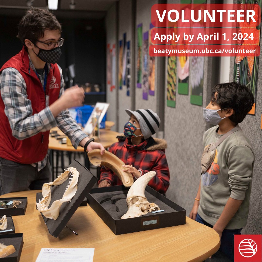 Share your love of the natural world with others by joining the Beaty Biodiversity Museum’s volunteer team! Volunteers play a vital role in helping the museum achieve this mission. Read more at beatymuseum.ubc.ca/volunteer #UBClife #UBCscience #SciEd #SciComm #Biodiversity #BCmuseums