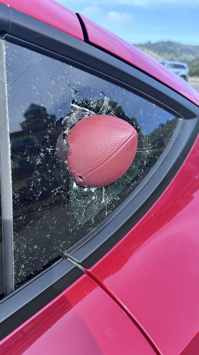 StanleyRoberts's tweet photo. When you get #bipped but the dealer punted your appointment due to a shortage of @Tesla wing windows. https://t.co/i7Wk1ZzR9H