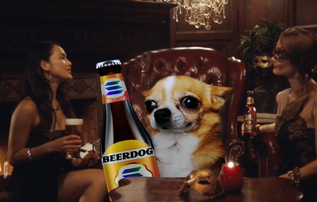 Beer Dog tweet media