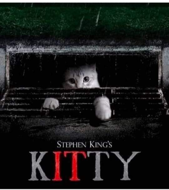 UnionRebelMs's tweet photo. They all meow down here... https://t.co/ospPyRMWJH