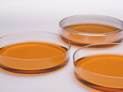 AmPharmRev's tweet image. Why It’s Time to Implement a Digital Management System for Environmental Monitoring

Read the article by Anne Weeks here - americanpharmaceuticalreview.com/Digital-System…

#MicrobialMonitoring #DataManagement #QualityControl #FDACompliance #DataIntegrity #EMSoftware #EnvironmentalMonitoring #APR