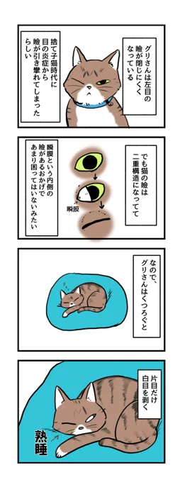 日記 