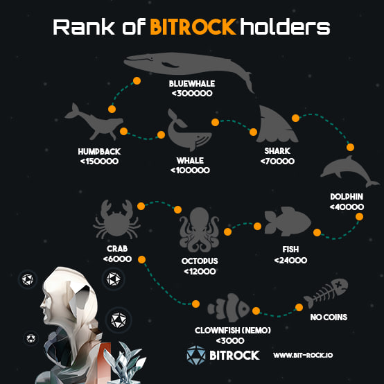 BitrockStation's tweet photo. How much are you holding? Personally, Shark+ makes you a chad 👀 @BitRockChain #bitrock #gem https://t.co/iPRCV7a6BS