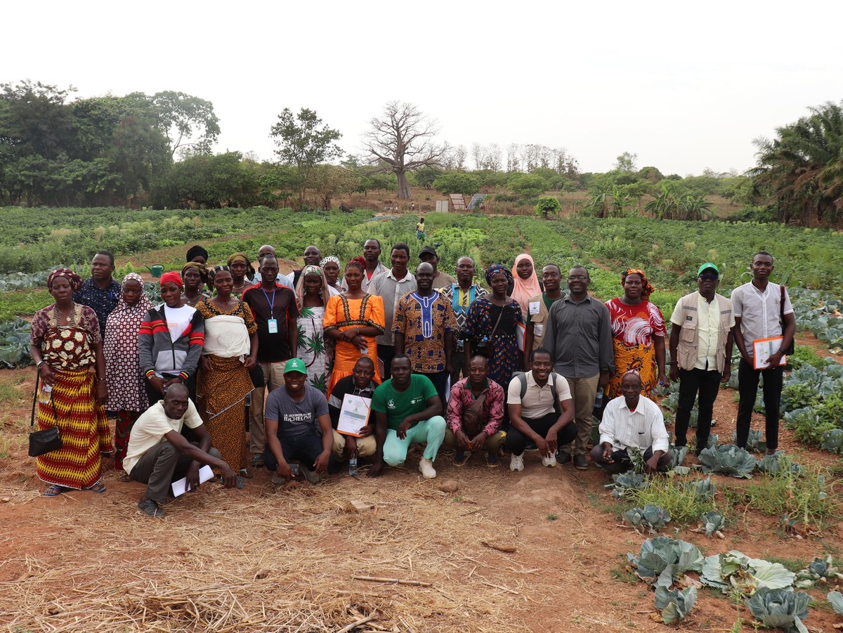 padfaci's tweet photo. PARTENARIAT PROJET MARIGO ET LE PADFA : 30 FORMATEURS ENDOGÈNES DES OPA DE LA FILIÈRE MARAÎCHÈRE FORMÉS SUR LA RECONNAISSANCE DES BIOAGRESSEURS ET LES MÉTHODES DE PROTECTION AGROÉCOLGIQUE

#PADFA #IFAD #fida #meminader #OPECFund #OFID #projetmarigo

https://t.co/BBI9p2QfDe https://t.co/WAf9dVBB92