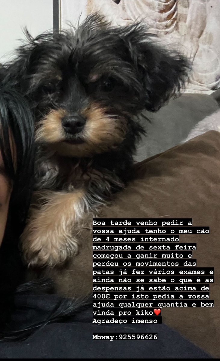 Agradeço qualquer ajuda 1€ já ajuda muito ❤️