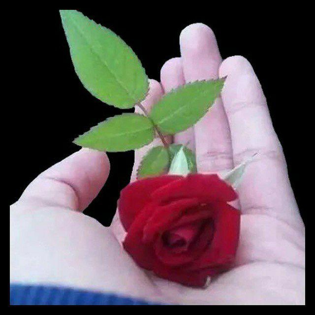 bd_tl39763's tweet photo. @Goldenlady_0 https://t.co/jTIdtx5dFT