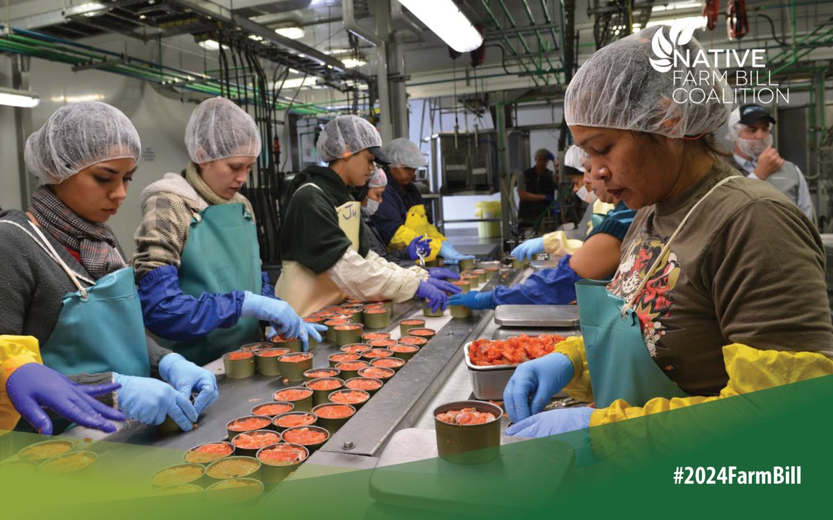 Accessing credit can be difficult for Tribes in areas like meat, poultry, fish, and seafood processing. Improving programs in the #2024FarmBill’s Credit Title would give Native communities more access and boost Tribal economies. Photo source: Sitka Local Foods Network