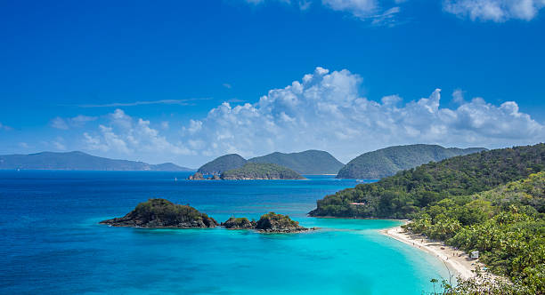 USVirginIslan's tweet photo. #Paradise found in the heart of the #Caribbean! 🌴🌊 This #tropical bay is pure bliss, where turquoise waters meet powdery white sands. Feeling the warm sun on my skin and the gentle breeze in my hair, I never want to leave this #island paradise! 🏝️✨ #CaribbeanDreams https://t.co/Qt6xIuFjqW