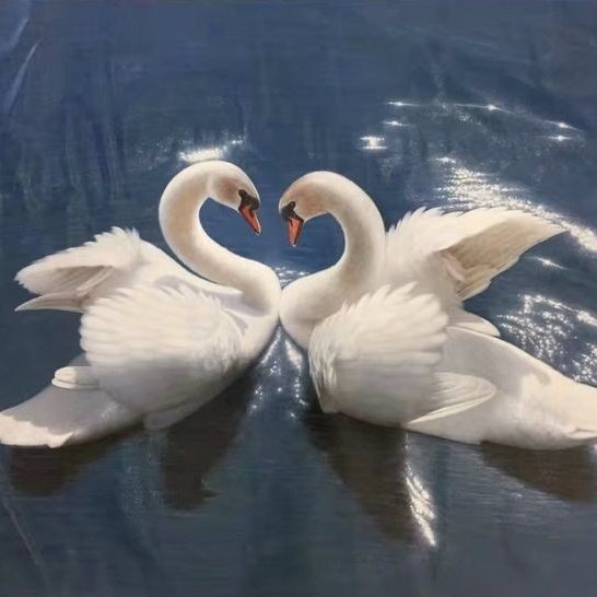 AlexStudy_'s tweet photo. 🦢 ۪ 𓏸 ૮₍ 𝐃rive de linguagens! ₎ა https://t.co/kazK0kwcTg