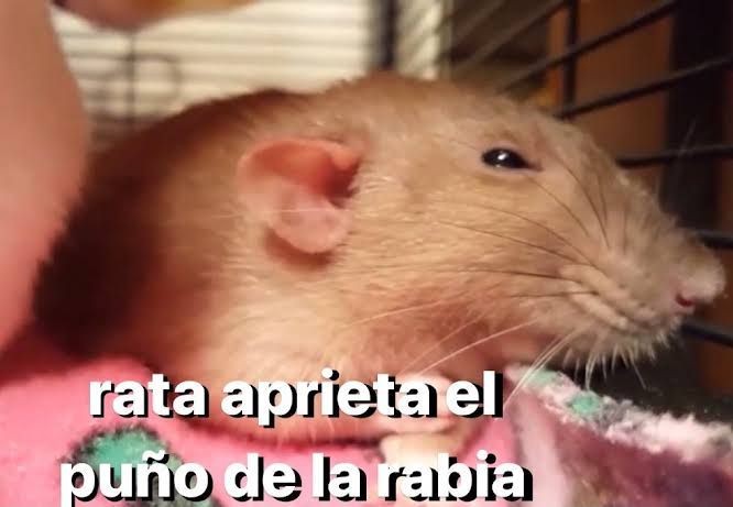 julii_aaaa's tweet photo. por culpa de mi amigo que duerme con el aire a -80° flasheando polo norte ahora yo estoy engripada https://t.co/vLIEIupZqr