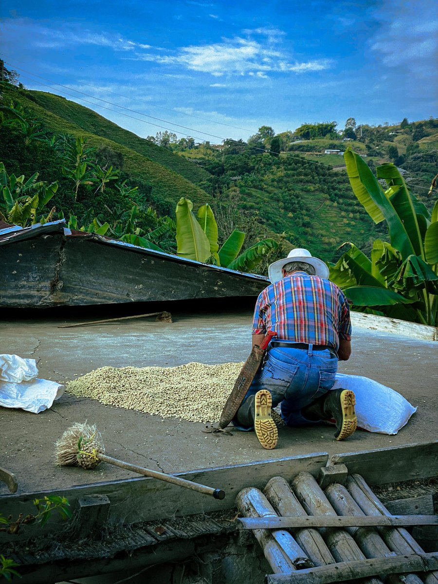 tagoretoro's tweet photo. Somos la montaña y el mejor café del mundo, gente buena por herencia y tradición; somos campesinos por vocación y en la sangre y en el alma 
llevamos éste Caldas grande, 
montañeros de corazón. https://t.co/ngv6JCSsbW