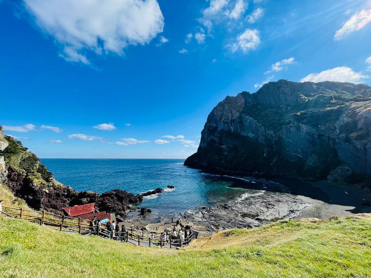 jataoutbound's tweet photo. 【Z世代イチ推し #韓国 】  

チェジュ島の雰囲気を感じて、癒されました。
自然がたくさんありソウルとは違う雰囲気です。

#映えスポット #今こそ海外 https://t.co/cDPkq1Qtzu