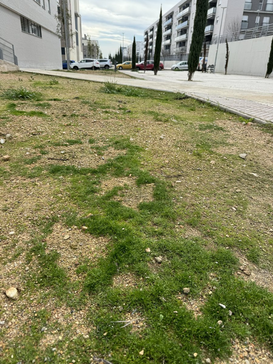 <a href="/RubenGaleaGil/">Rubén Galea Gil</a> Lucen mejor las rotondas de Valdepasillas que cualquier esquina o "parque" de  Cuartón Cortijo...