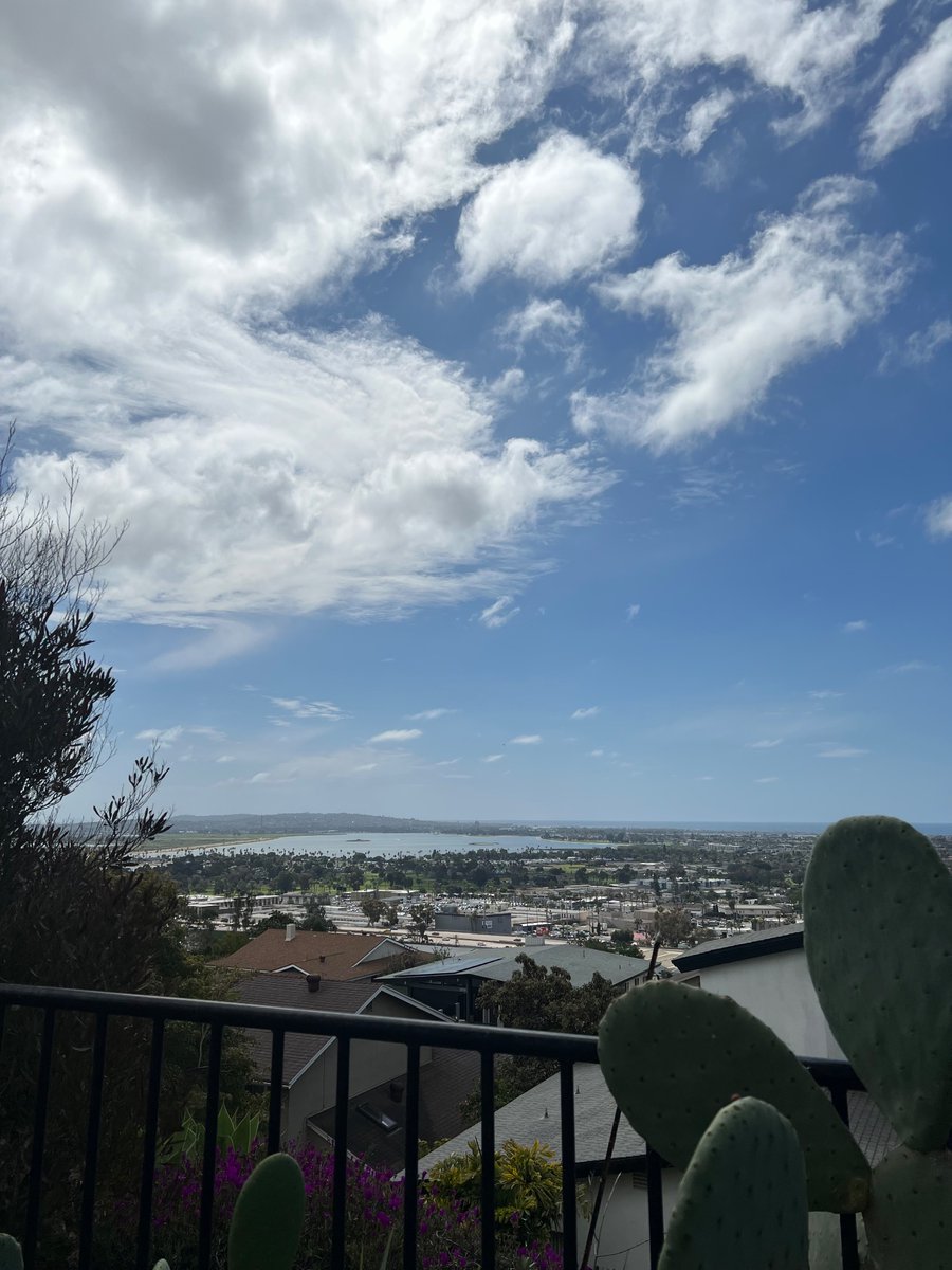 Sara Tennyson tweet media