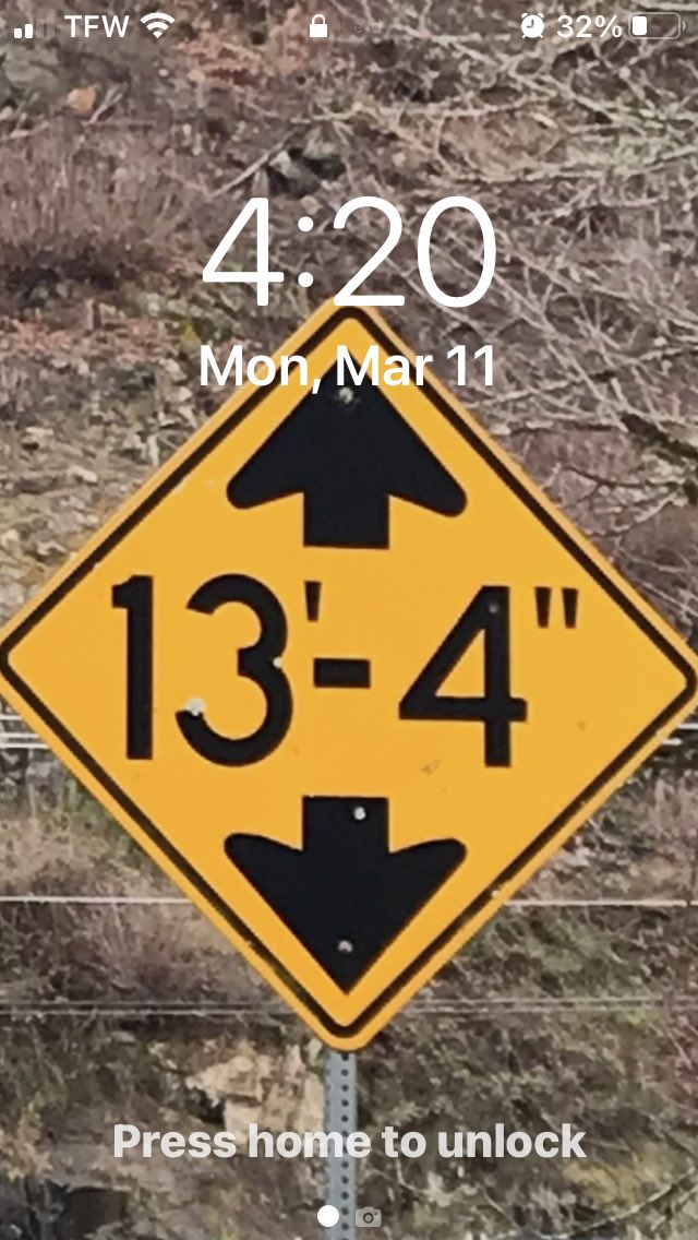 Jurassic Blueberries tweet media