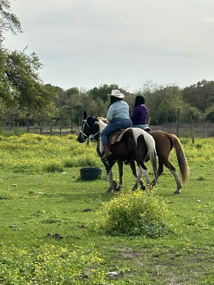 AndreaFranklin_'s tweet image. Texas Hold ‘em 💜My new friends 🥰#Saucey💛 #Spooky🤎