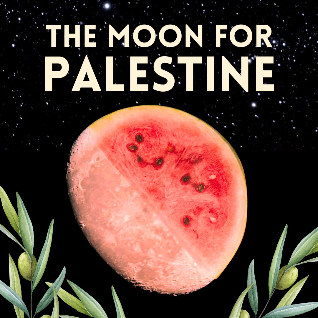 Dr. Lucianne Walkowicz tweet media