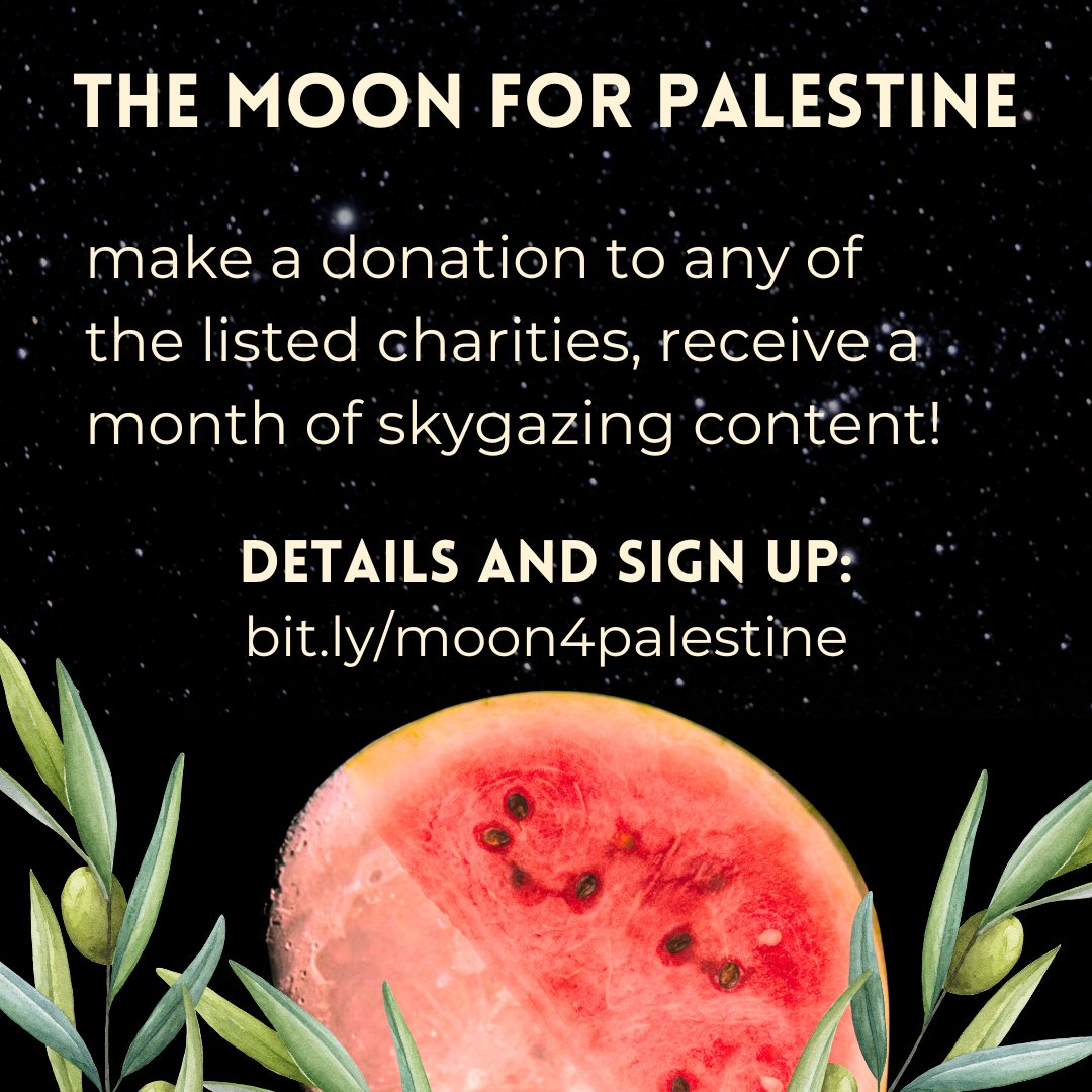 Dr. Lucianne Walkowicz tweet media