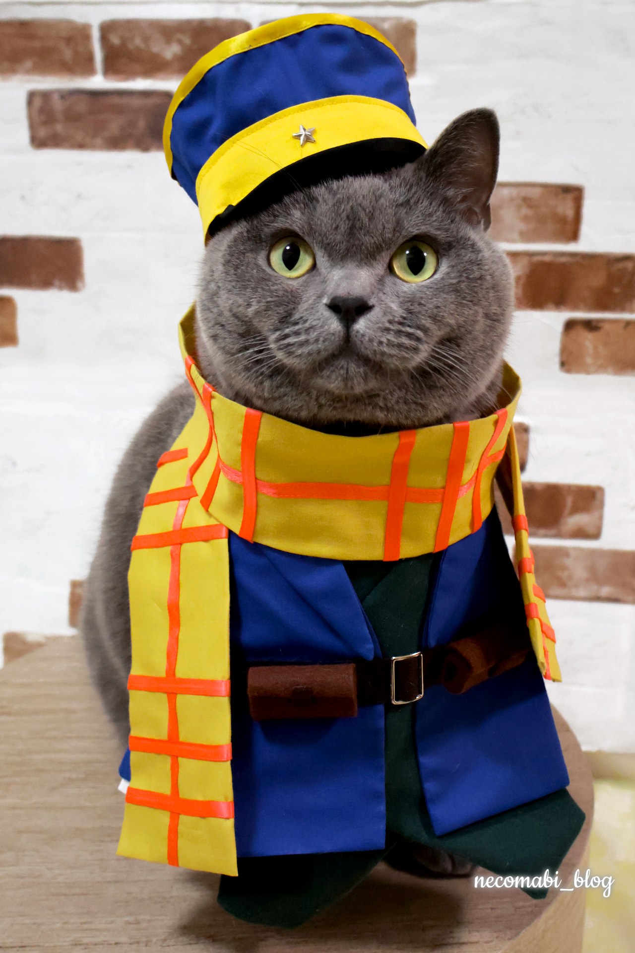 ゴールデンカムイ 軍帽 コスプレ 難あり】ゴールデンカムイ ゴールデンカムイ 軍帽 コスプレ 難あり】ゴールデンカムイ
