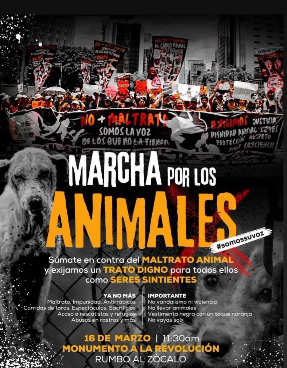 AnimaNat_Mexico's tweet photo. 📣 Este sábado asiste a la marcha general por los animales!!

Sábado 16 a las 11:30 en el monumento a la Revolución marchando hacia el zócalo!!! https://t.co/aTk8Svby1T