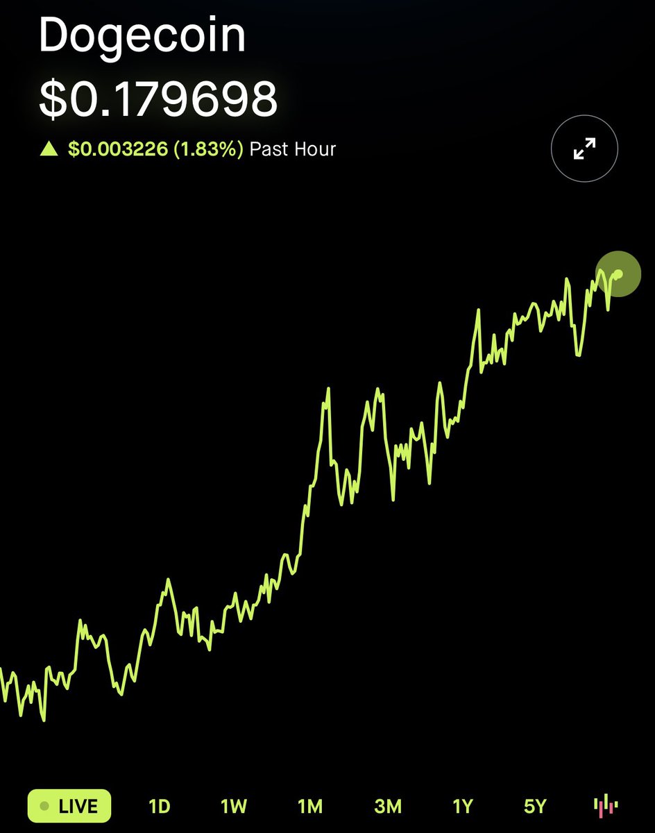 SlumDOGE Millionaire tweet media