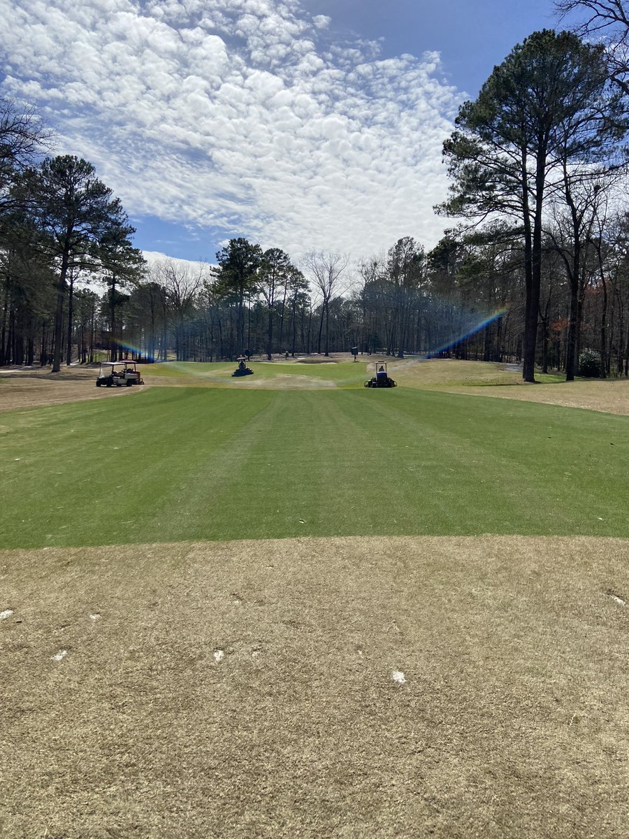 #stadiumzoysia