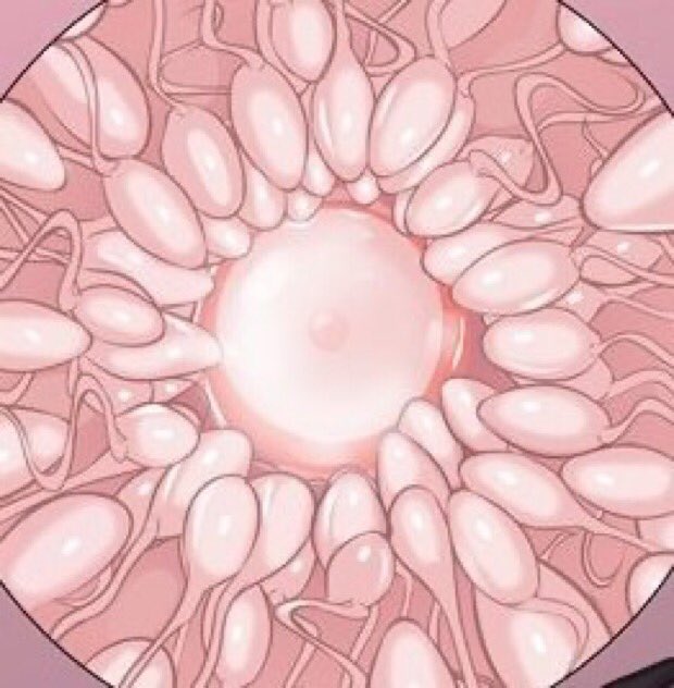 POV:

You called Mako cute.