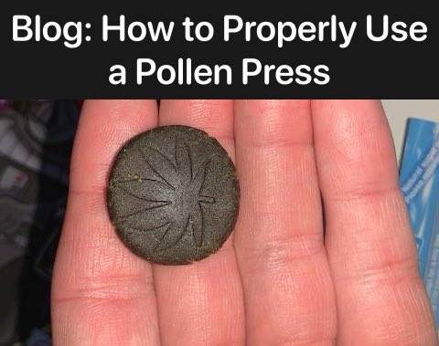 greengoddesssupply.com/blogs/blog/pro… #kief #pollenpress #WeedLovers