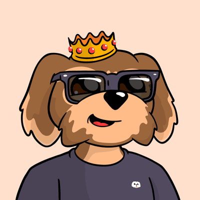 CirrusNFT's tweet photo. Got $2500 of some random memecoin airdropped to me this morning because there are NFTs in my Solana wallet that prove I chose rich https://t.co/Lr2kS8L6TC