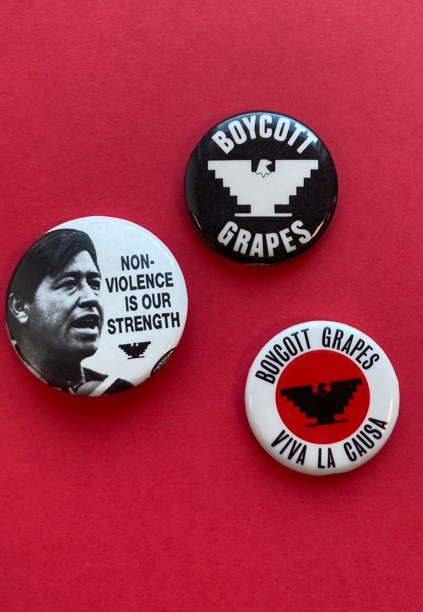 Cesar Chavez Day celebrates Chavez, a civil rights icon and labor leader. He co-founded the National Farm Workers Association with Dolores Huerta. The rallying cry, 'Sí se puede,' inspired change, leading workers, who wore buttons like the ones below, in the grape strike.