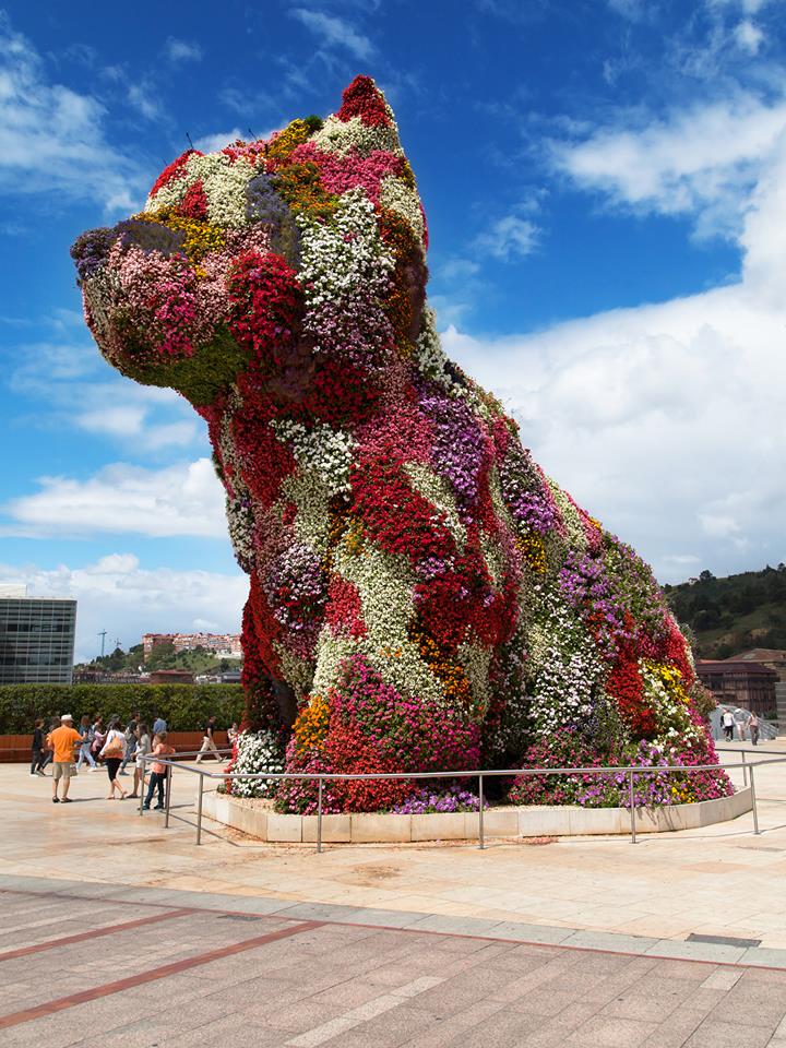 OzDogLover's tweet photo. Meet 'Puppy' who has been guarding the doors of the #Guggenheim Museum in #Bilbao for decades.
This #WestHighlandWhiteTerrier is made of 37,000 plants (changed twice a year!), is 12.4m tall and weighs around 16 tonnes!
#NationalPlantAFlowerDay #dogsandflowers #flowerdog #dogart https://t.co/C5OGeIC3uQ