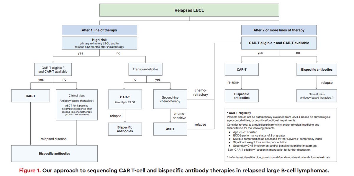 For all you #lymsm nerds (and heme/onc fellows!) out there, check out our #ASH23 Education Program review on how we sequence CAR-T and bispecific antibody therapies in R/R aggressive NHLs. We prefer CAR-T for almost all patients if available. #onctwitter ashpublications.org/hematology/art…
