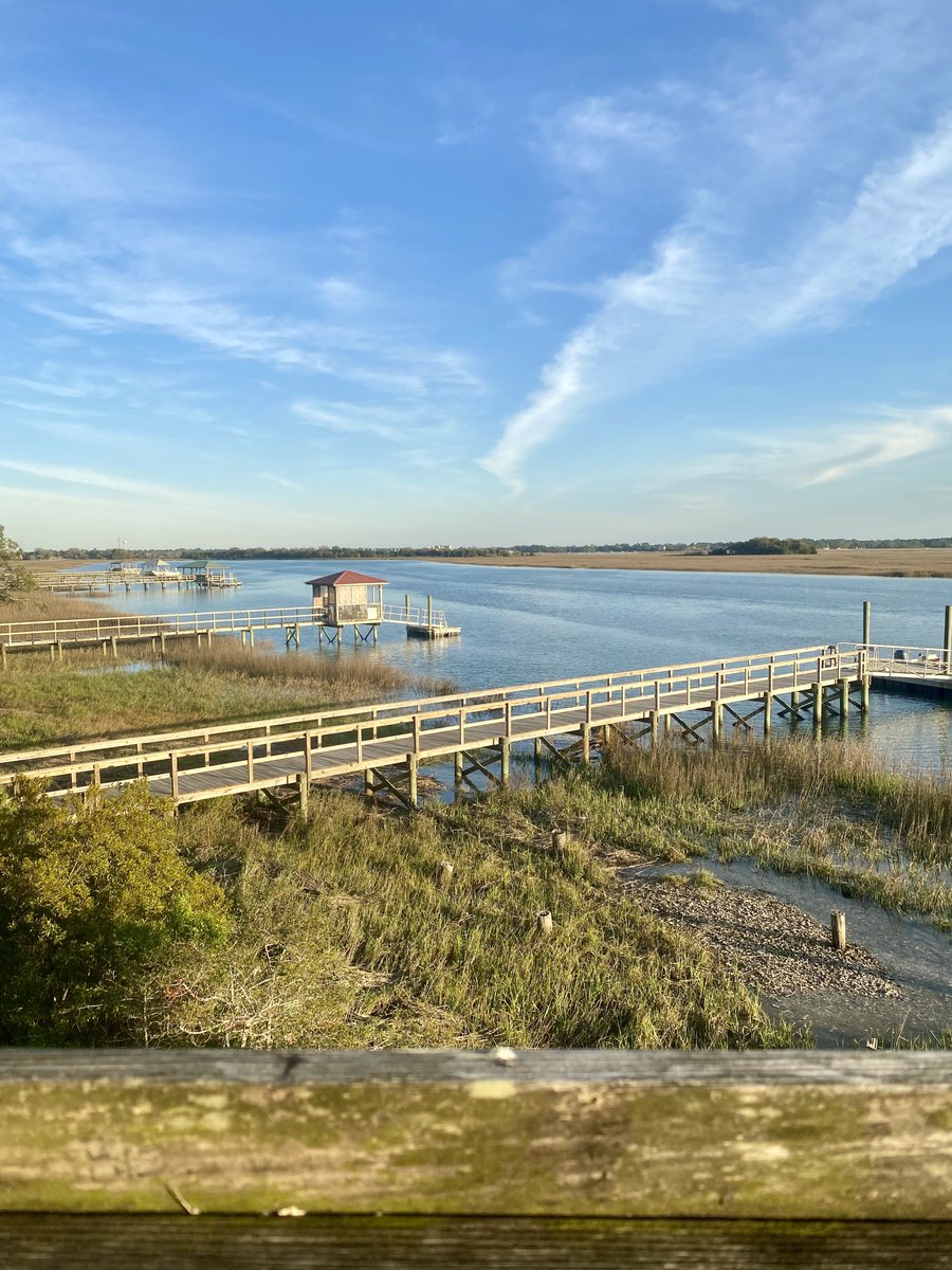 Reina | The Sofrito Project tweet media